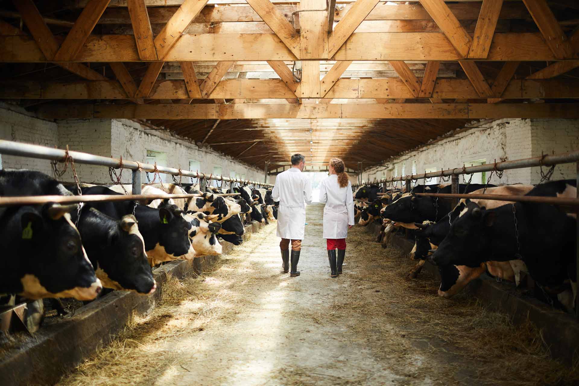 National Farm Safety and Health Week 2021