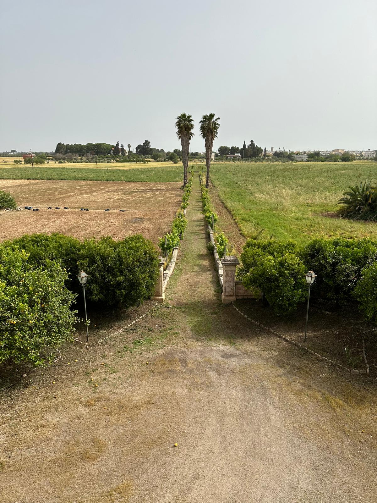 tenuta carmelitani