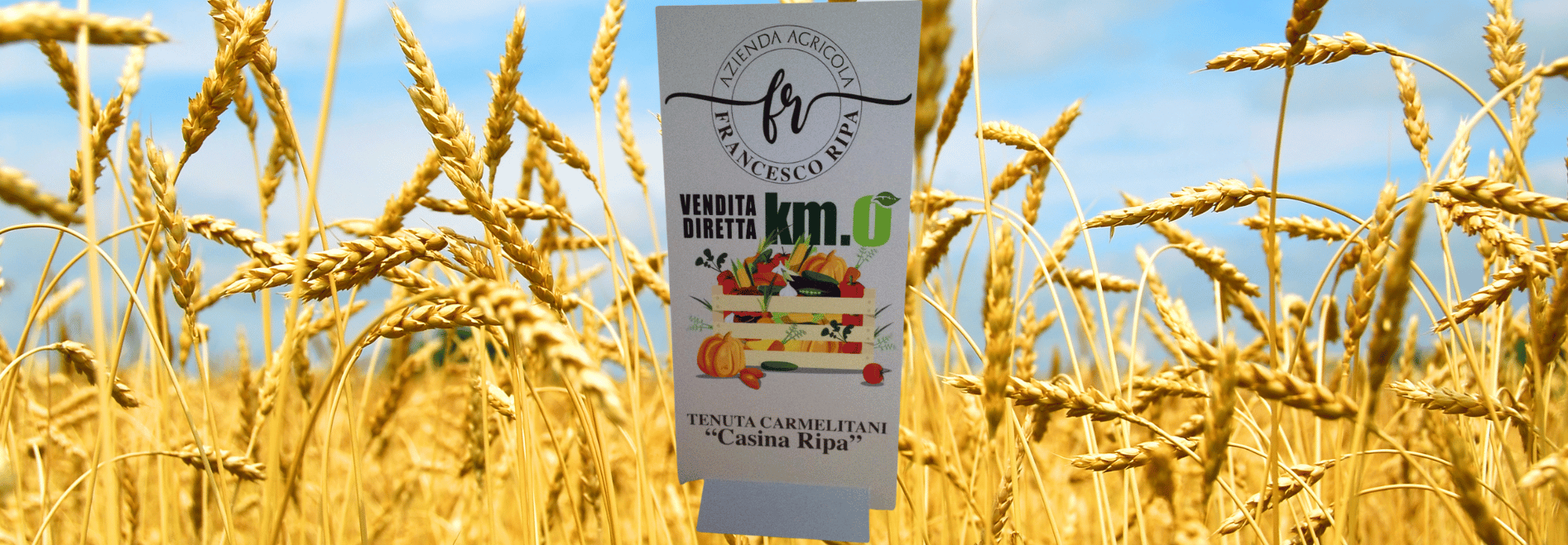 pasta senatore cappelli punti vendita lecce